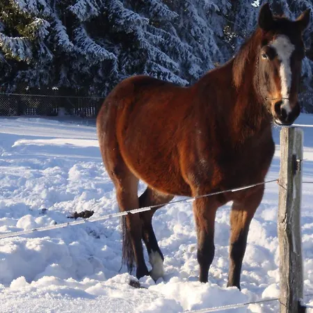 Vogtlandresidenz 別荘