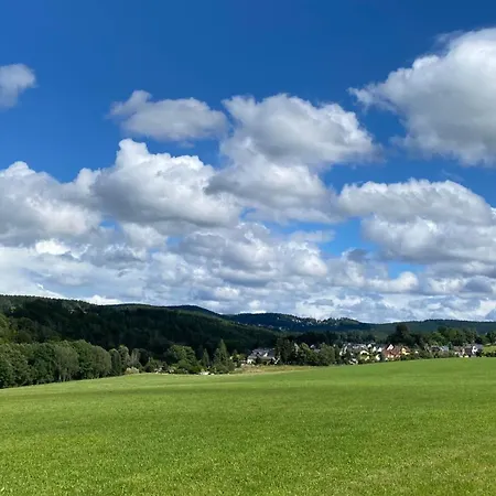 Vogtlandresidenz 度假居 奥尔巴赫